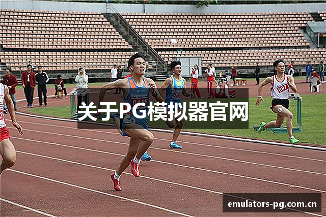 关于PG模拟器官网